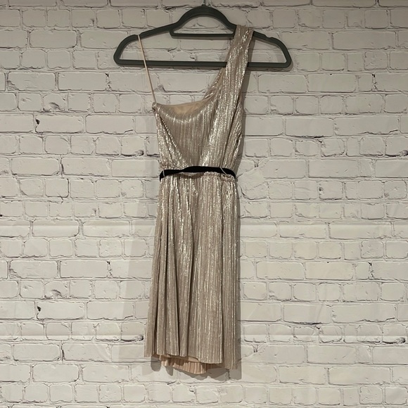 Express one-shoulder dress. Champagne/gold. Size XS. NWT. - Picture 2 of 4